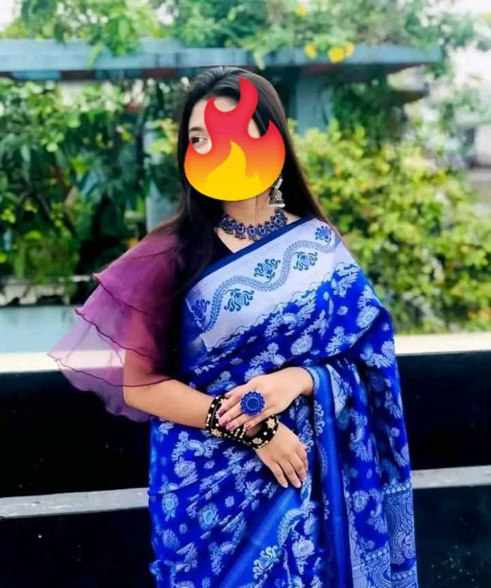Royal Blue Combo – Saree - Image 2