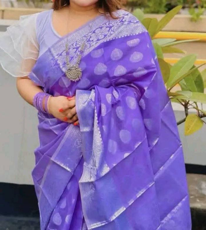 পাইপেল কালার শাড়ির প্রিমিয়াম কম্বো - Image 3
