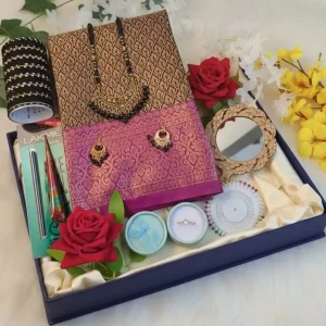 🌟 Kanchi Katan Saree Combo 🌟